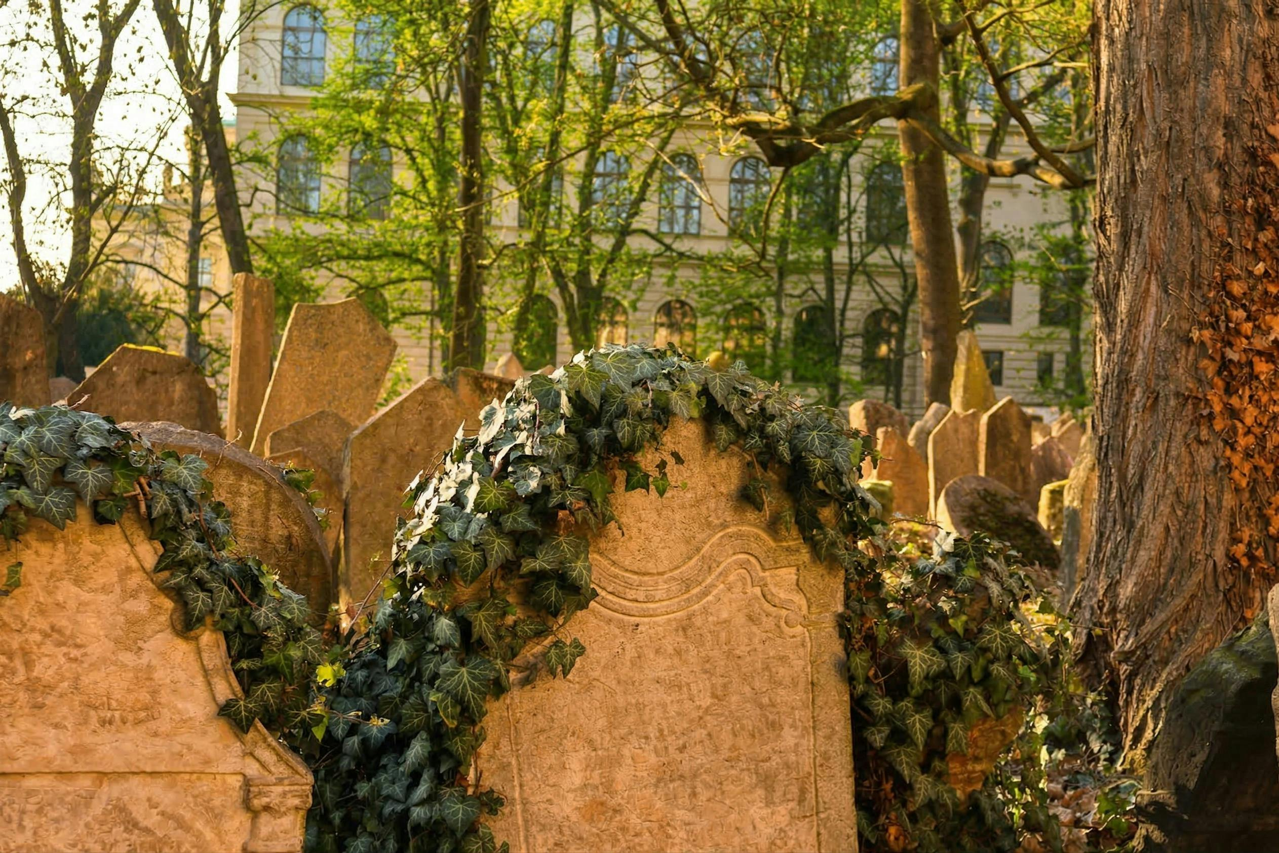 Prague Jewish Quarter: Entry Ticket + Guided Introduction + Optional Audio Guide - Photo 1 of 7